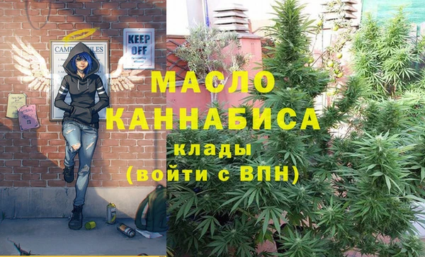 гидра Яранск