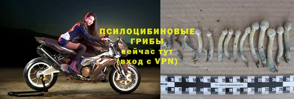 гидра Яранск
