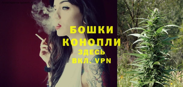 гидра Яранск