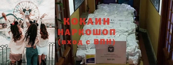 гидра Яранск